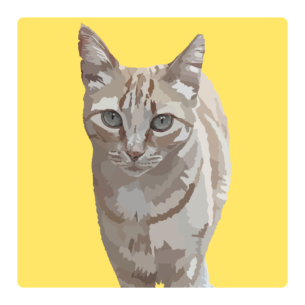 Pawtrait - Custom Creative Design. Custom Pet Portrait