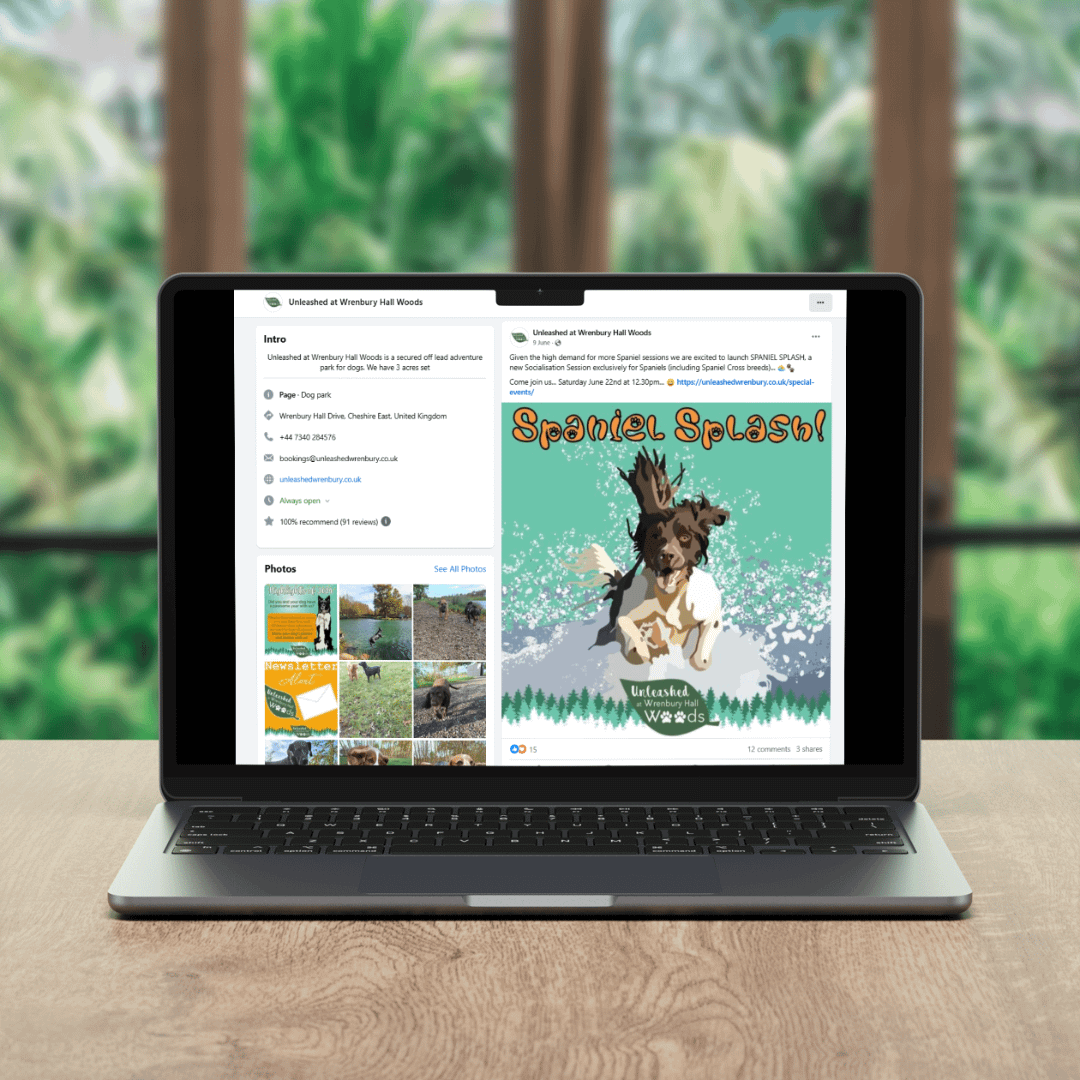 Social Media Advertising Graphics